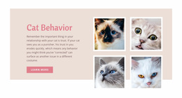 Ready To Use Site Design For Pet Care And Love