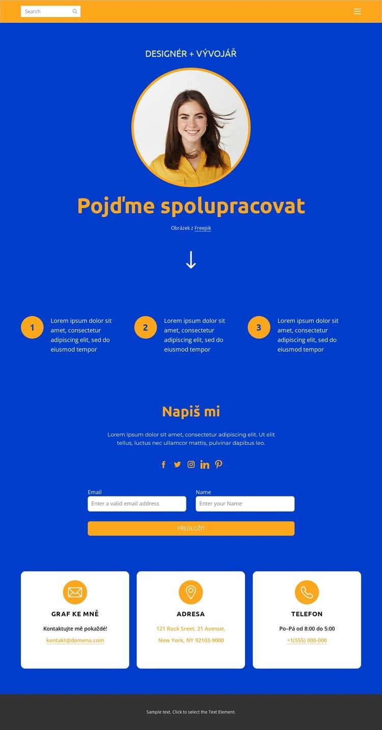 Designér a vývojář Téma WordPress