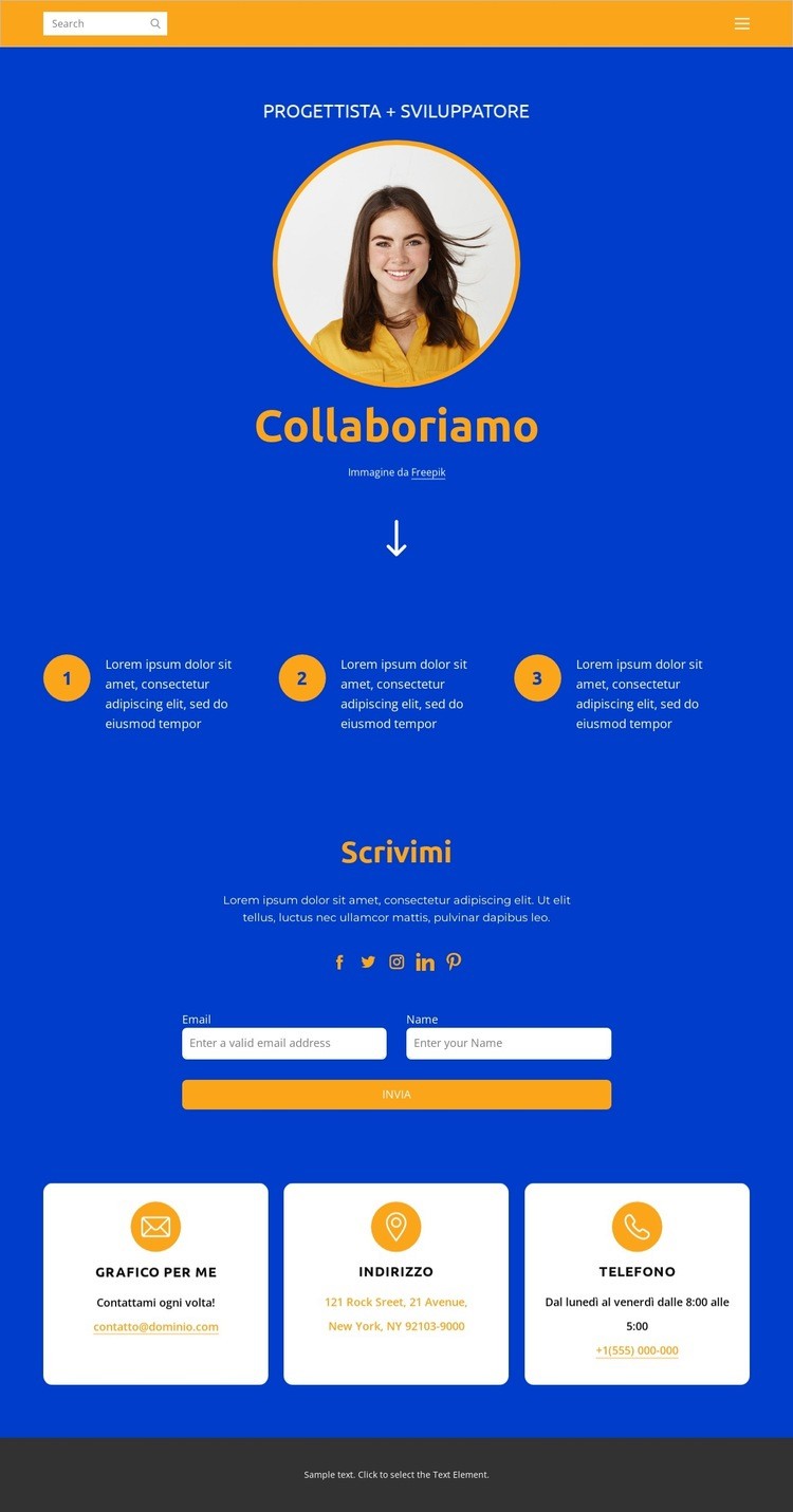 Progettista e sviluppatore Progettazione di siti web