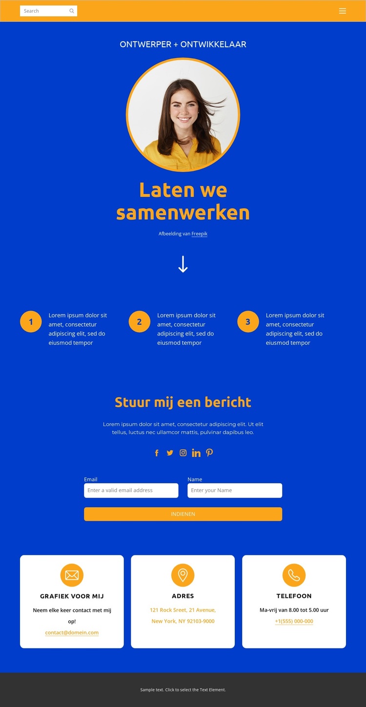 Ontwerper en ontwikkelaar WordPress-thema