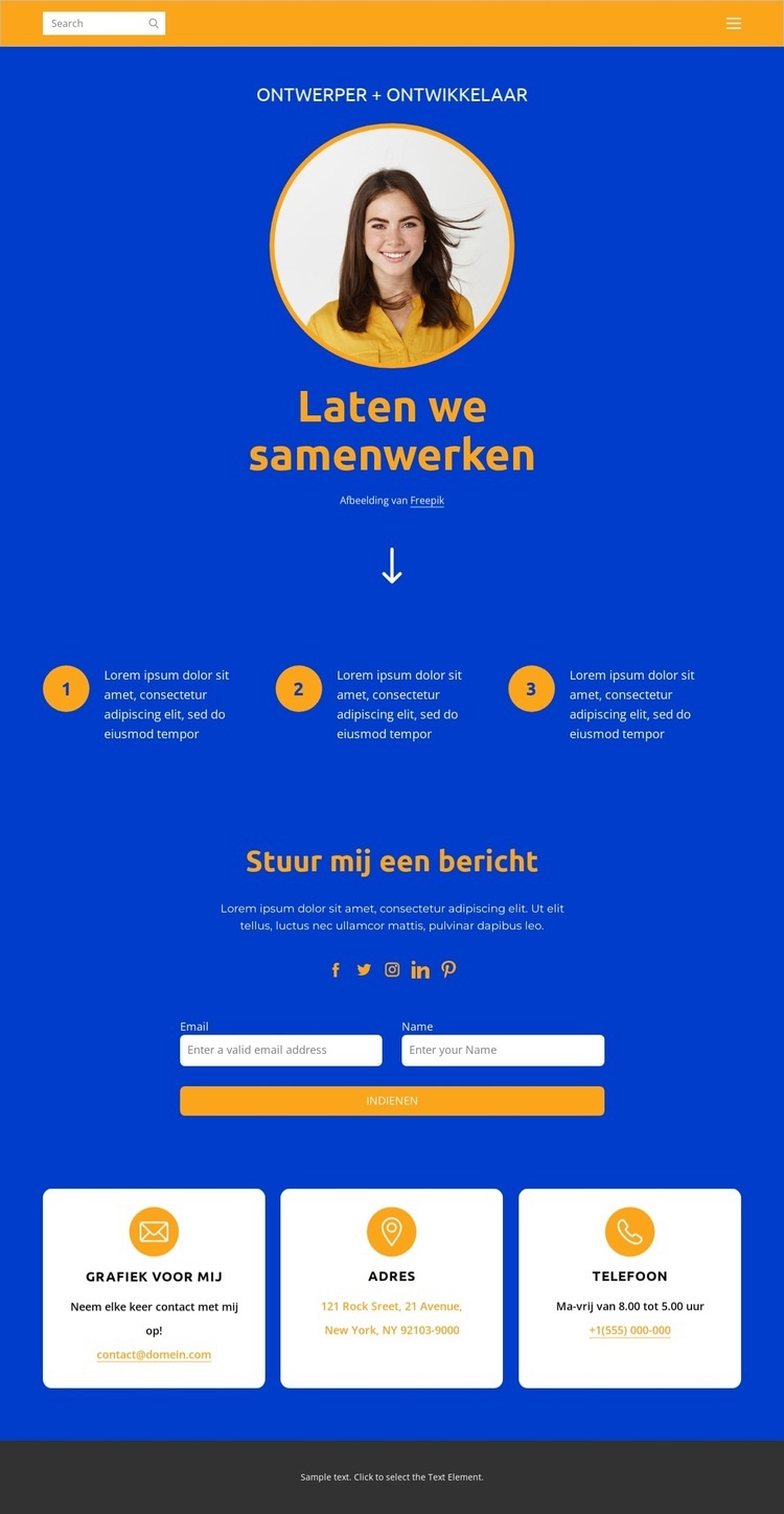 Ontwerper en ontwikkelaar Website ontwerp