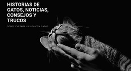 Consejos Para Cuidar Animales: Creador De Sitios Web Fácil De Usar