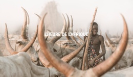 Voyages En Afrique - Maquette De Site Web De Fonctionnalités