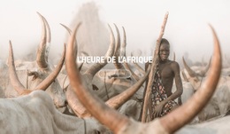 Voyages En Afrique - Page De Destination Moderne