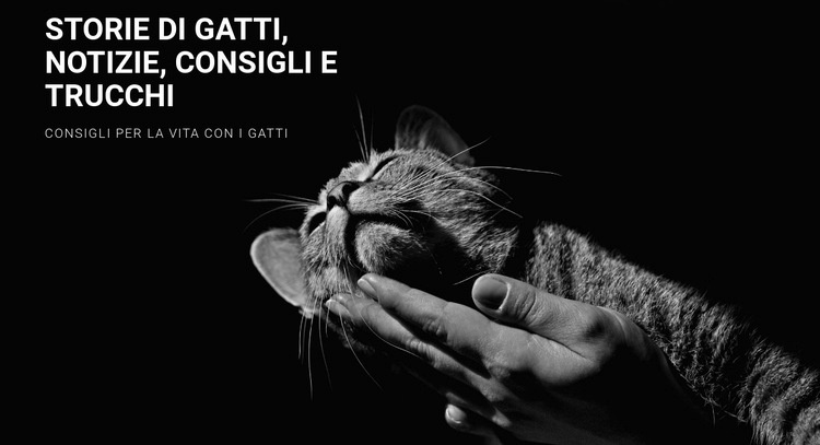 Suggerimenti per la cura degli animali Progettazione di siti web