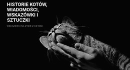 Wskazówki Dotyczące Opieki Nad Zwierzętami Szablon