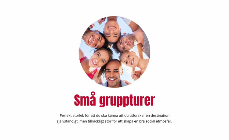 Små gruppresor Hemsidedesign