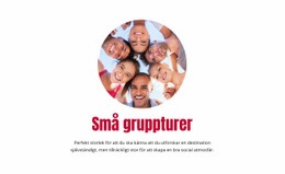 Gratis Onlinemall För Små Gruppresor