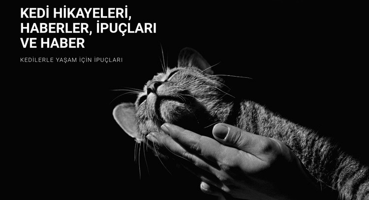 Hayvanların bakımı için ipuçları Html Web Sitesi Oluşturucu