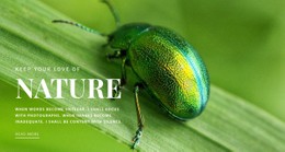 Green Beetle Simple CSS Template