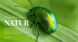 Benutzerdefinierte Schriftarten, Farben Und Grafiken Für Grüner Käfer