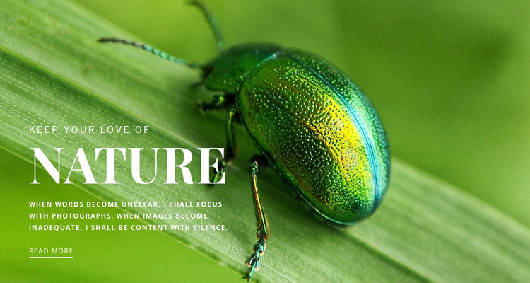 Green beetle Homepage Design
