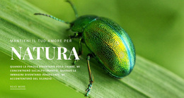 Scarabeo Verde - Tema WordPress Pronto Per L'Uso