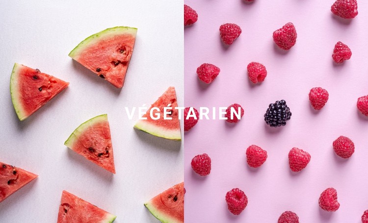 Nourriture végétarienne savoureuse Modèle CSS