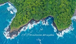 Platformsablon Indítása A(Z) Repülőgépes Élmények Számára