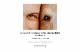 Chien C'Est Un Meilleur Ami - Inspiration Pour La Conception De Sites Web