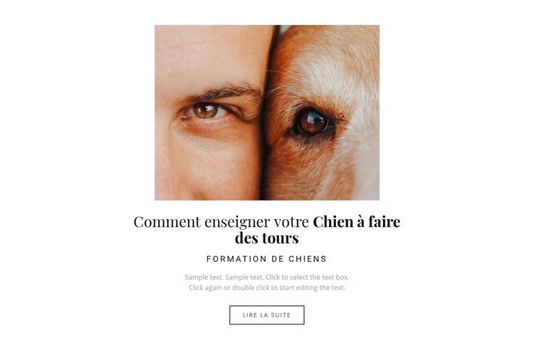 Chien c'est un meilleur ami Maquette de site Web