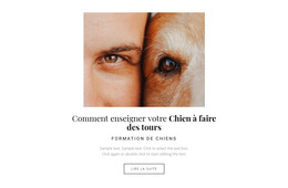 Chien C'Est Un Meilleur Ami - Modèle Web