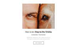 Hond, Het Is Een Beste Vriend - Premium WordPress-Thema