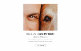 Hond, Het Is Een Beste Vriend - Mockup-Sjabloon Voor Websites