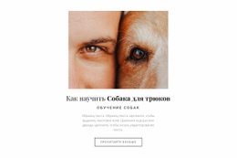Собака Это Лучший Друг – Вдохновение Для Дизайна Веб-Сайта