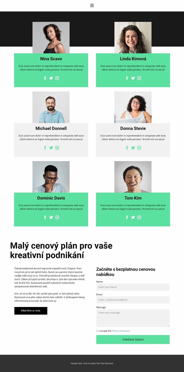 Pomocný tým Šablona CSS