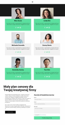 Projekt Strony Internetowej Dla Zespół Pomocy