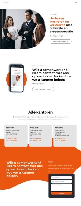 Productgebaseerde Strategische Oplossingen - Sjablonen Website-Ontwerp