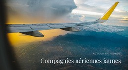 Services De Transport Aérien - Créateur De Sites Web