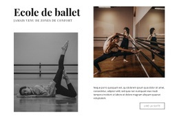 Ecole De Ballet Classique - Conception Réactive