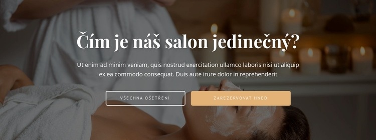 Najděte si svou léčbu Téma WordPress