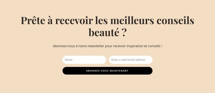 Conseils beauté secrets Maquette de site Web