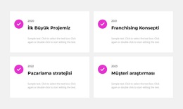 4 Yıllık Istatistik - Özel WordPress Teması