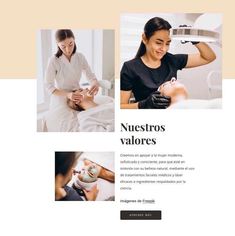 Bienvenido al salón de belleza Diseño de páginas web