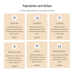 Tratamientos De Estetica Plantilla CSS Premium