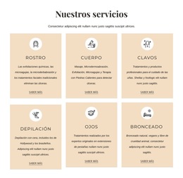 Tratamientos De Estetica - Plantilla De WordPress