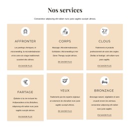 Traitements Esthétiques Modèle CSS Premium