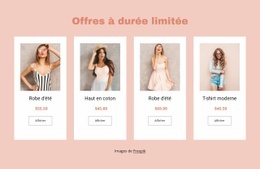 Offres À Durée Limitée En-Tête Et Pied De Page