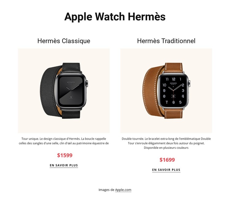 Apple watch hermès Modèle HTML