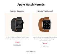 Apple Watch Hermès - Page De Destination Créative Et Polyvalente