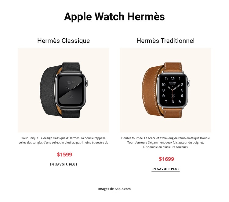 Apple watch hermès Thème WordPress