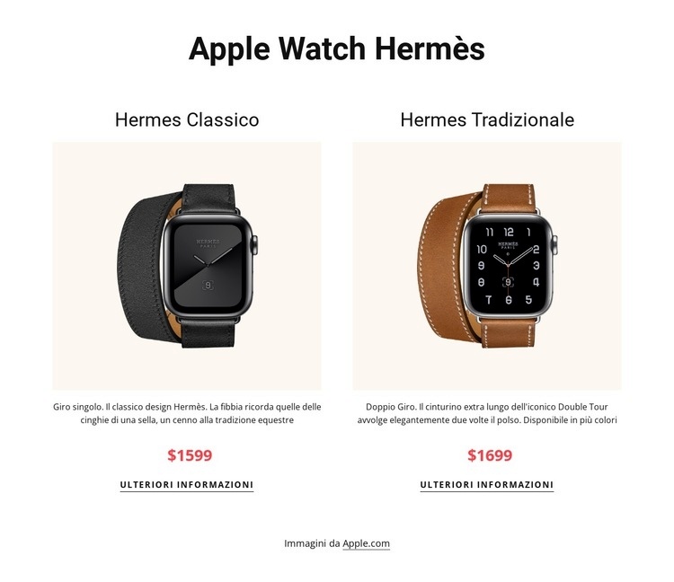 Apple guarda Hermes Modelli di Website Builder