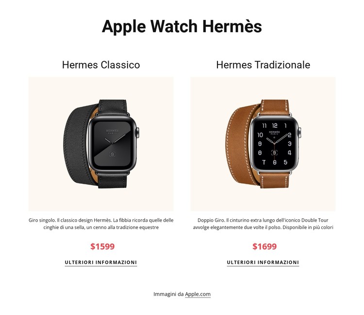 Apple guarda Hermes Modello CSS
