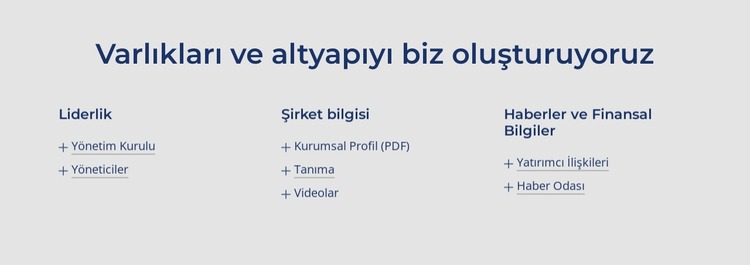 Varlıkları ve altyapıyı biz oluşturuyoruz Joomla Şablonu