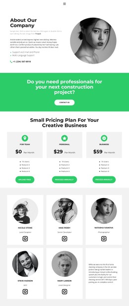 Starting a business - CSS Template by Nicepage