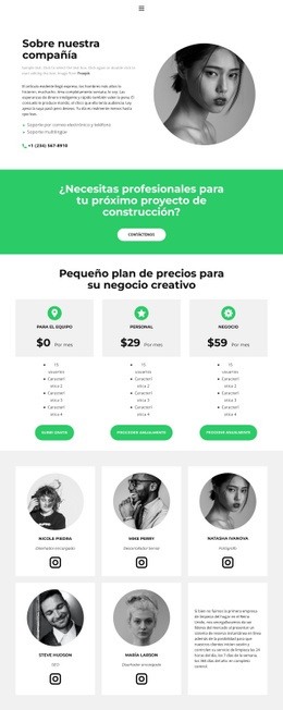 Impresionante Creador De Sitios Web Para Iniciar Un Negocio