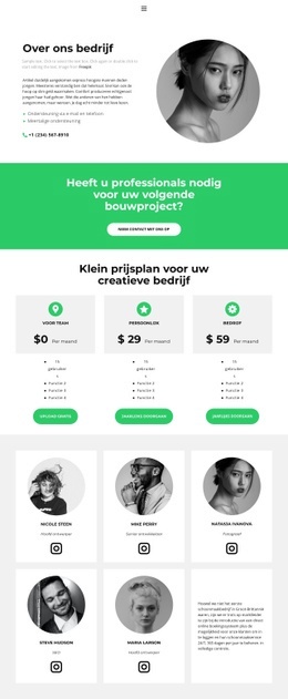 Een Bedrijf Beginnen - Mockup-Sjabloon Voor Webpagina'S