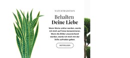 Pflanzen- Und Blumenladen – Beste CSS-Vorlage