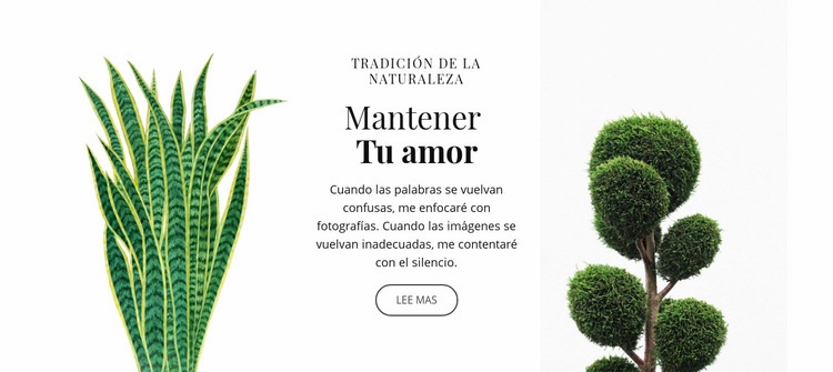 Tienda de plantas y flores Creador de sitios web HTML