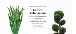 Magasin De Plantes Et De Fleurs - Meilleur Modèle CSS